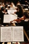music, piece, notes, song, sound, orchestra, violin, brown music, brown note, orchestra, orchestra, orchestra, orchestra, orchestra